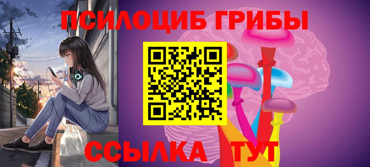 Псилоцибиновые грибы ЛСД Павловский Посад